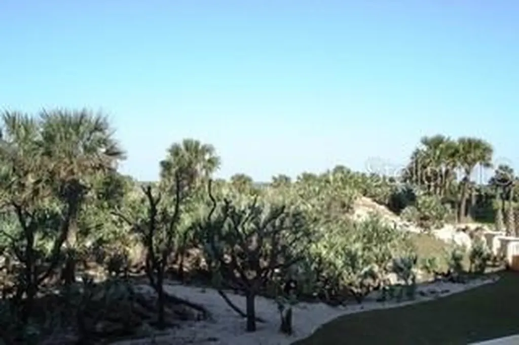 261 Minorca Beach Way New Smyrna Beach FL 32169