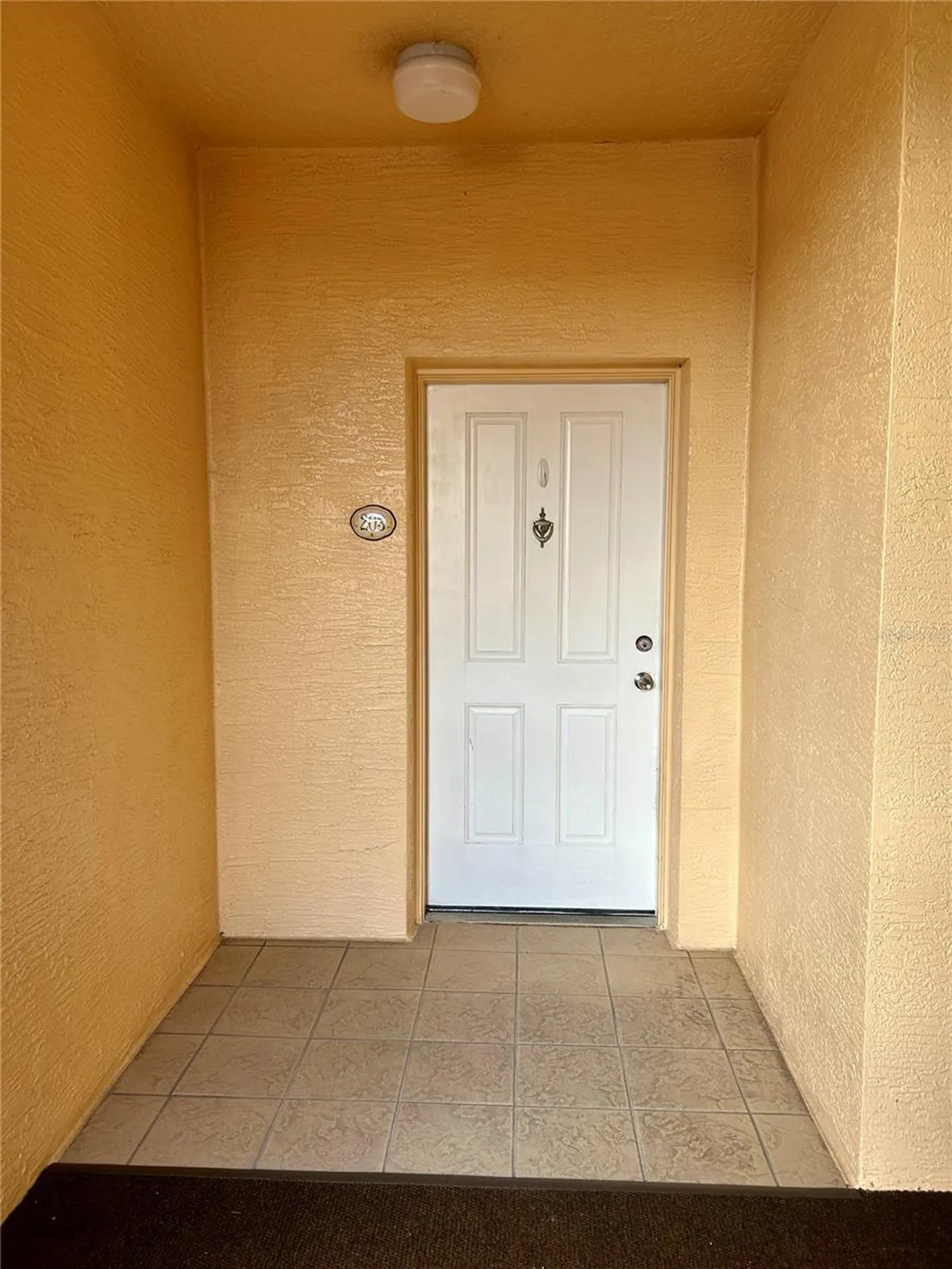 261 Minorca Beach Way New Smyrna Beach FL 32169