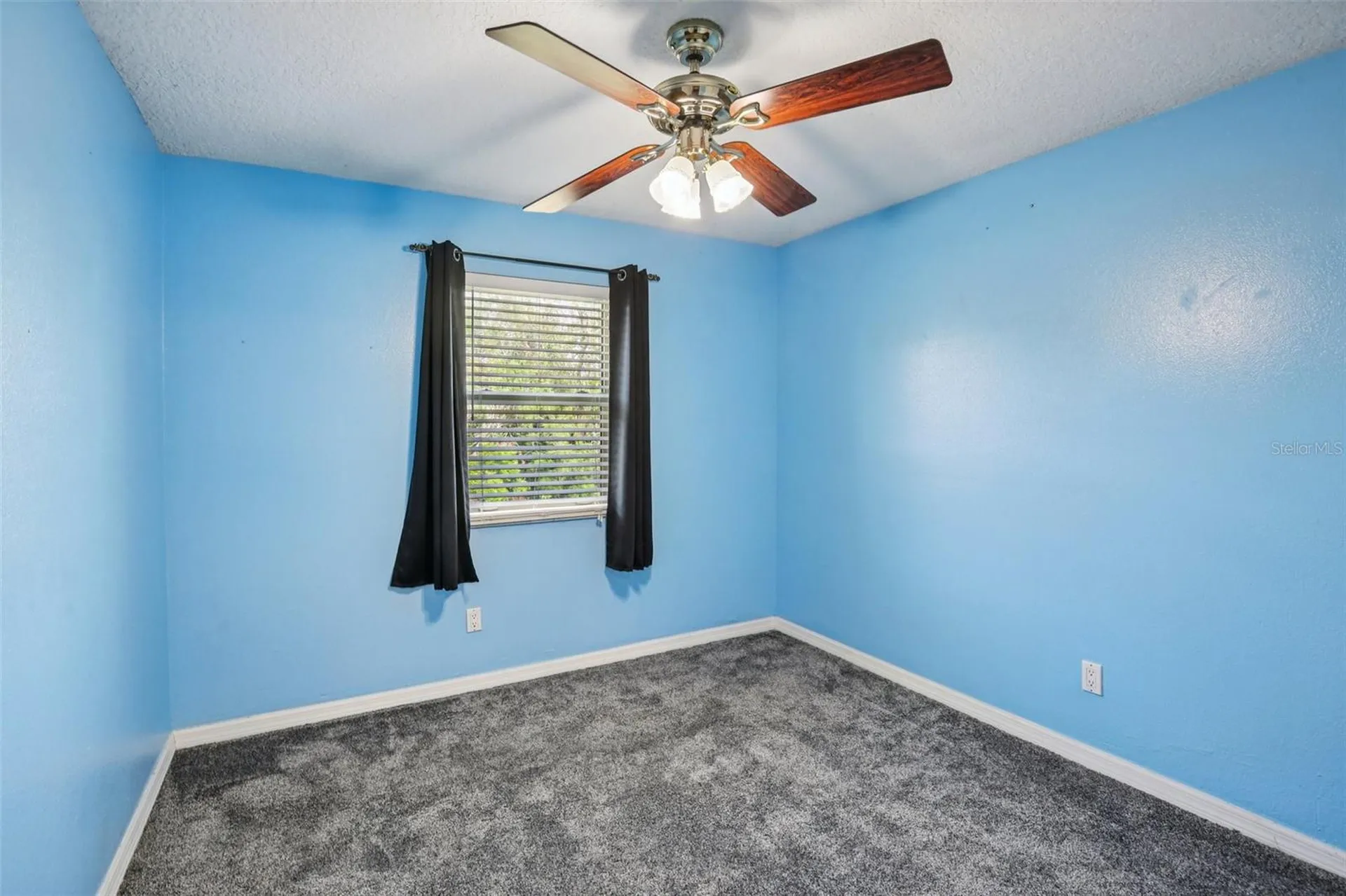 2589 Knoll Street W Palm Harbor FL 34683