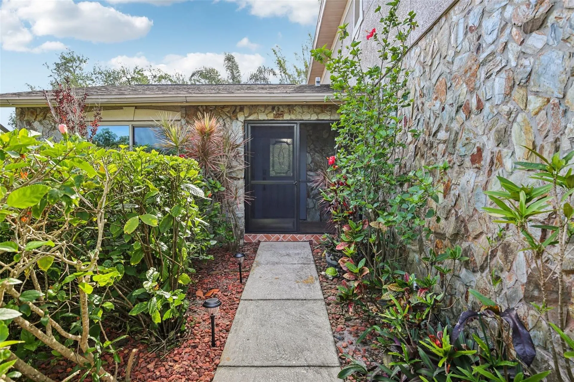 2589 Knoll Street W Palm Harbor FL 34683