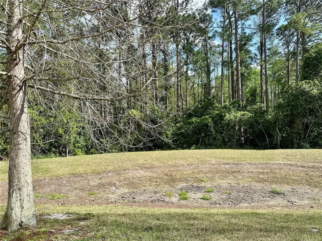 13824 Royston Bend Hudson FL 34669