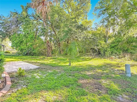 6561 Chinaberry Drive NE Winter Haven FL 33881