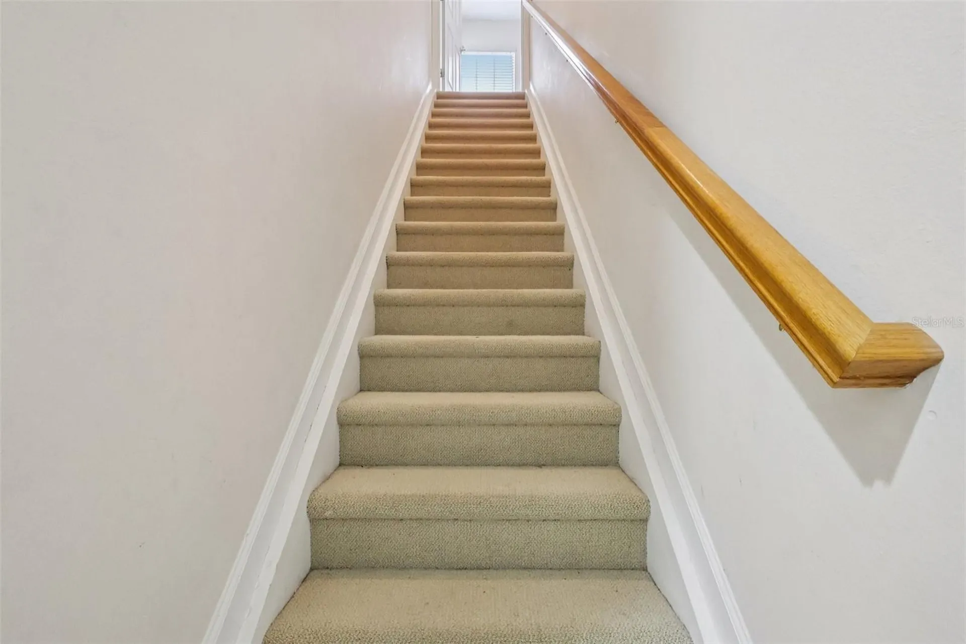 3848 Long Branch Lane Apopka FL 32712