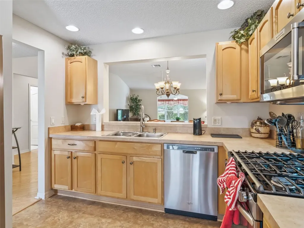 17325 SE 91st Lee Avenue The Villages FL 32162