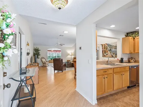 17325 SE 91st Lee Avenue The Villages FL 32162