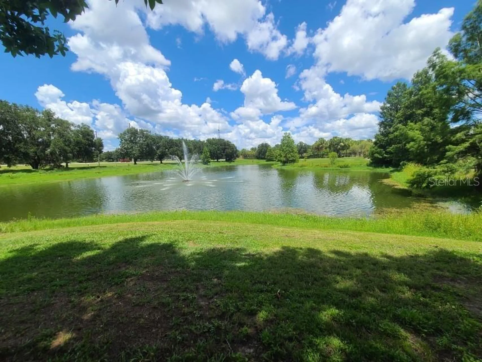 36009 Deer Creek Drive Zephyrhills FL 33541