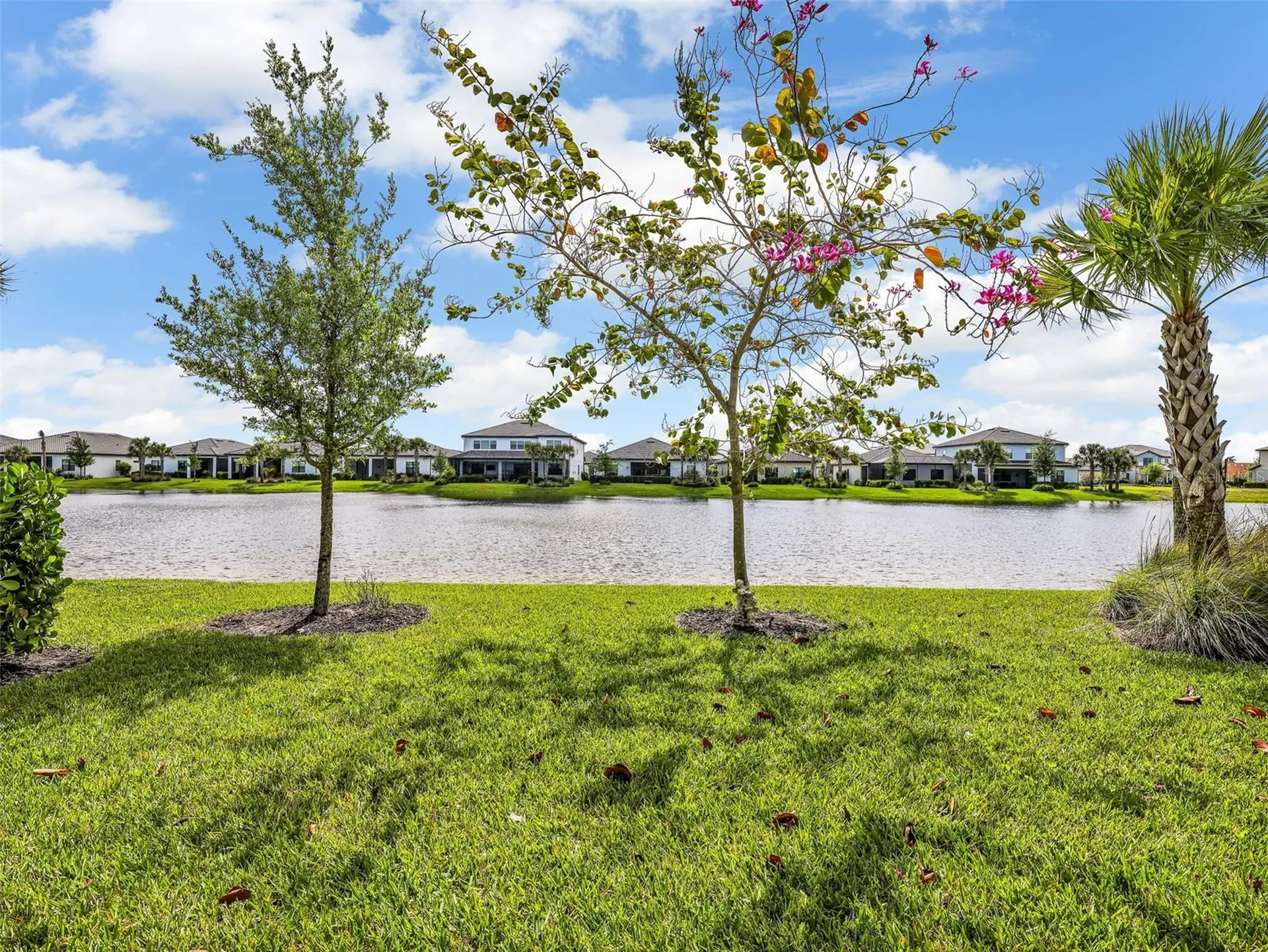 4300 Arlington Drive Ave Maria FL 34142