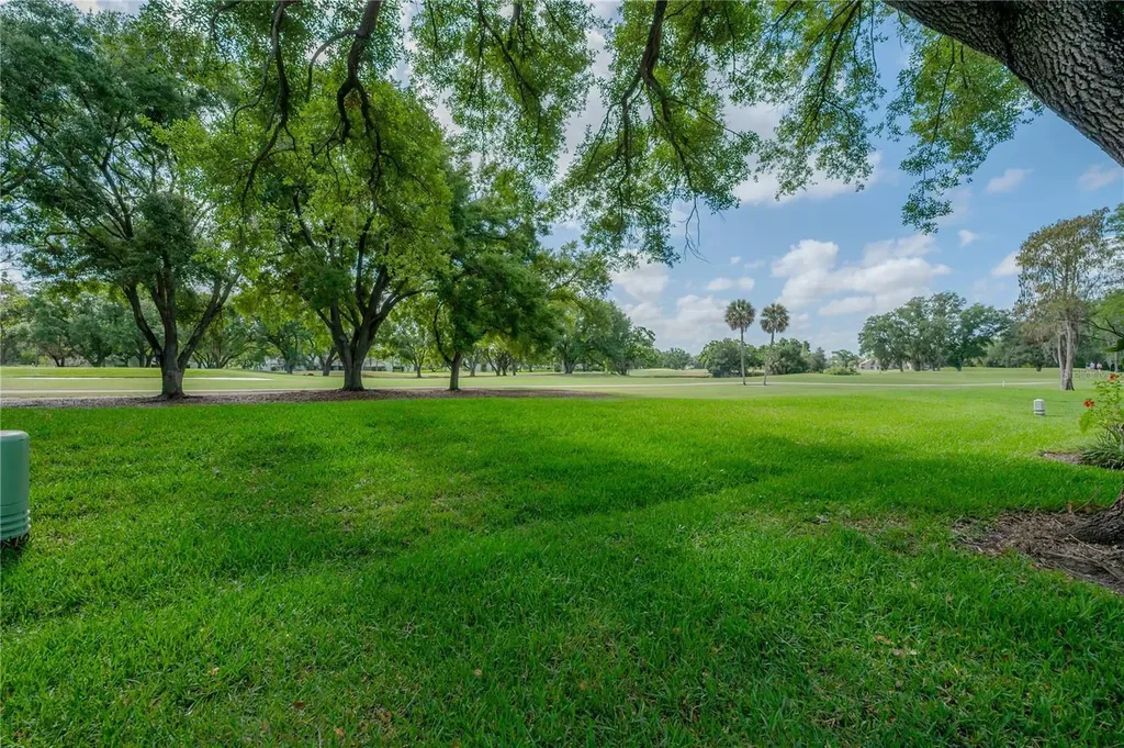4206 Golf Club Lane Tampa FL 33618