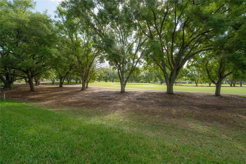 4206 Golf Club Lane Tampa FL 33618
