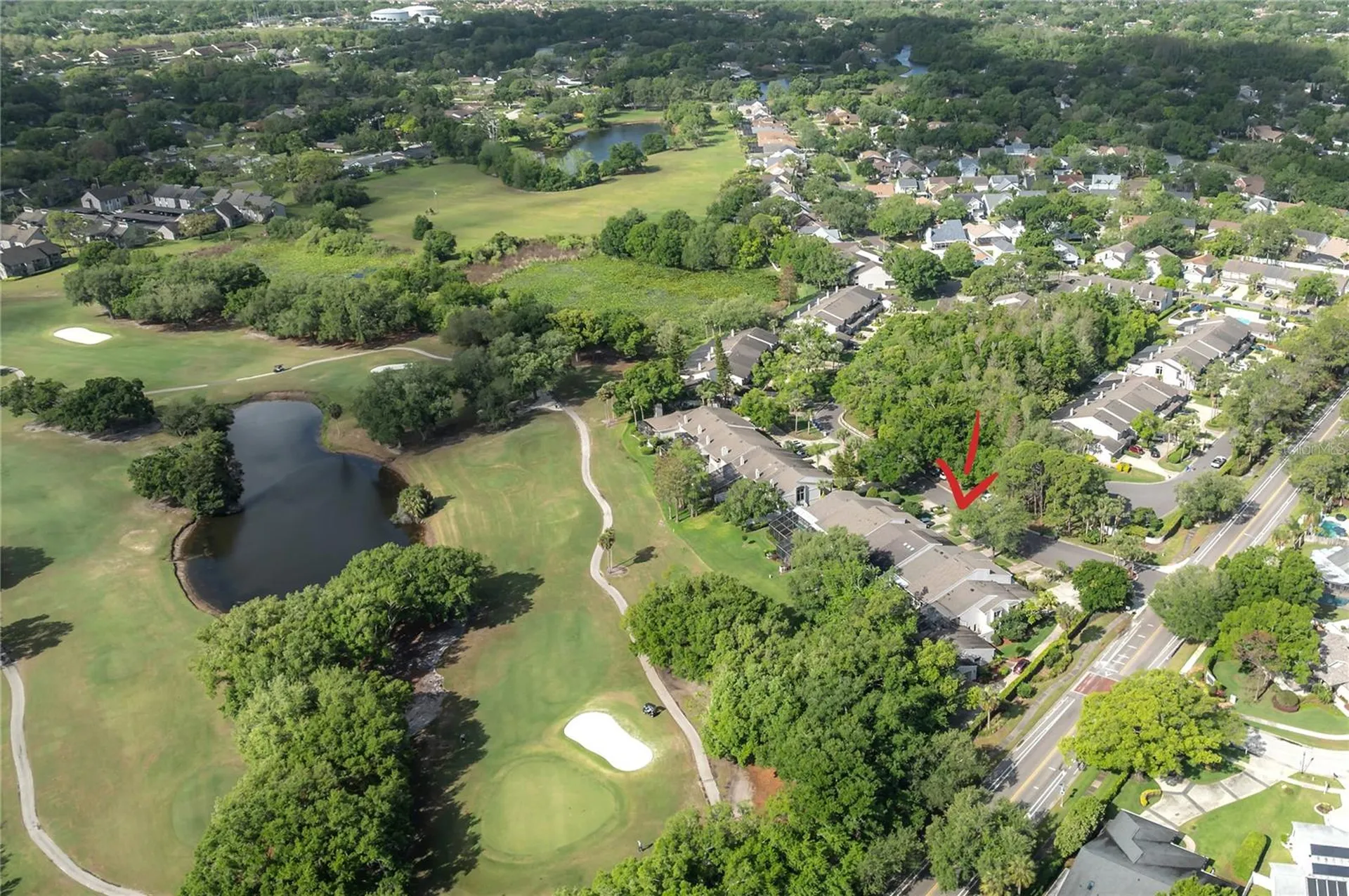 4206 Golf Club Lane Tampa FL 33618
