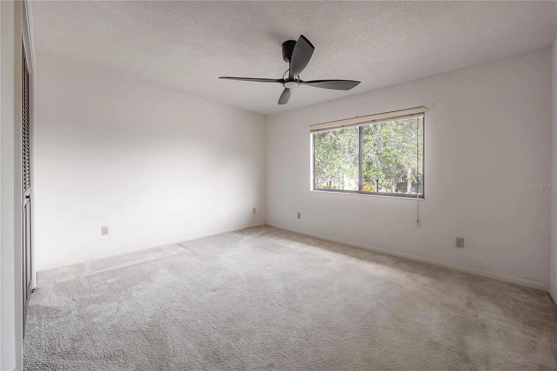 4206 Golf Club Lane Tampa FL 33618