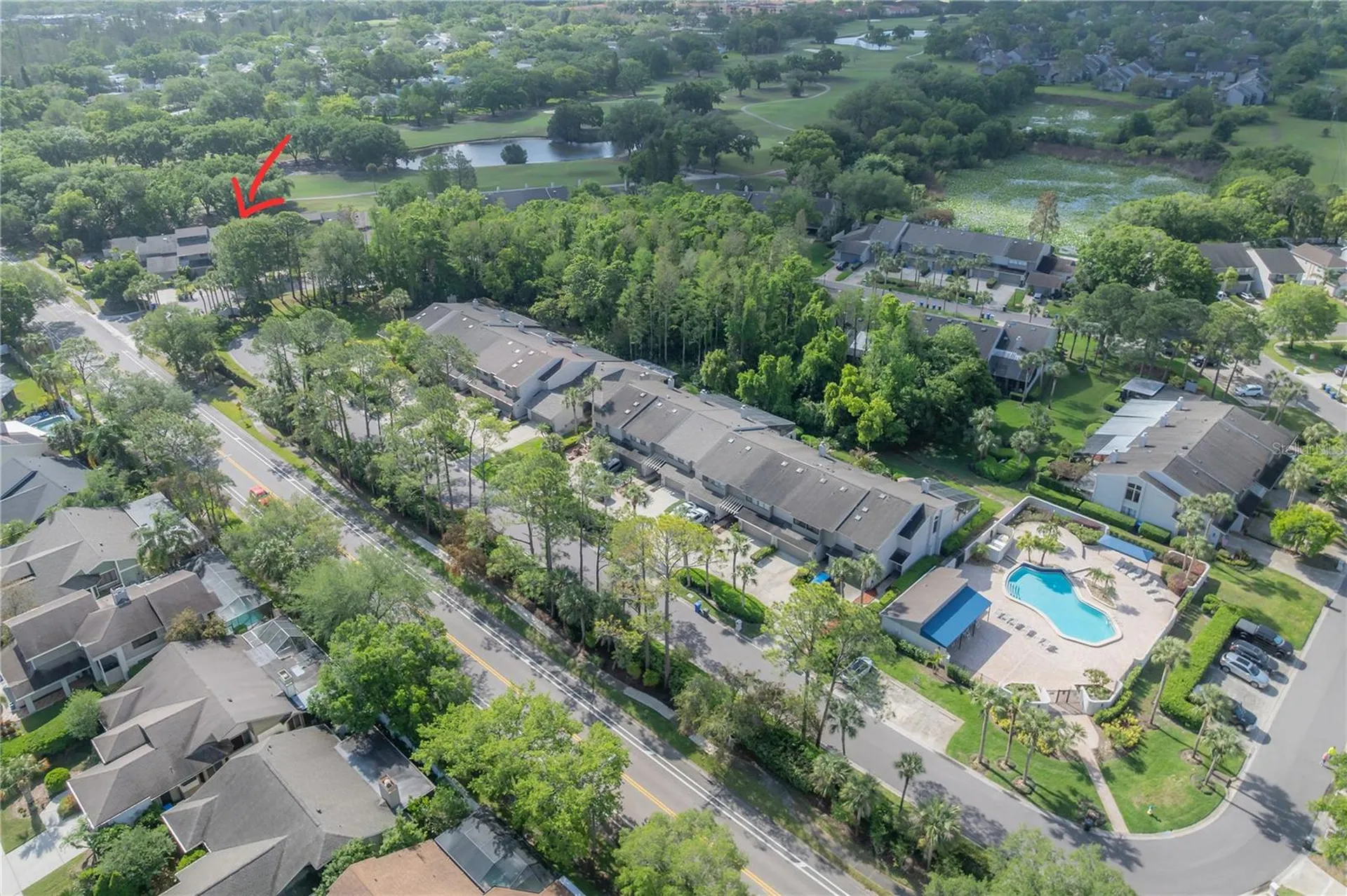 4206 Golf Club Lane Tampa FL 33618