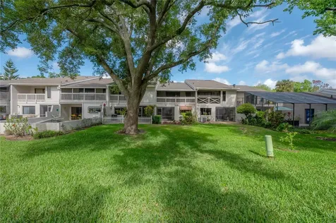4206 Golf Club Lane Tampa FL 33618