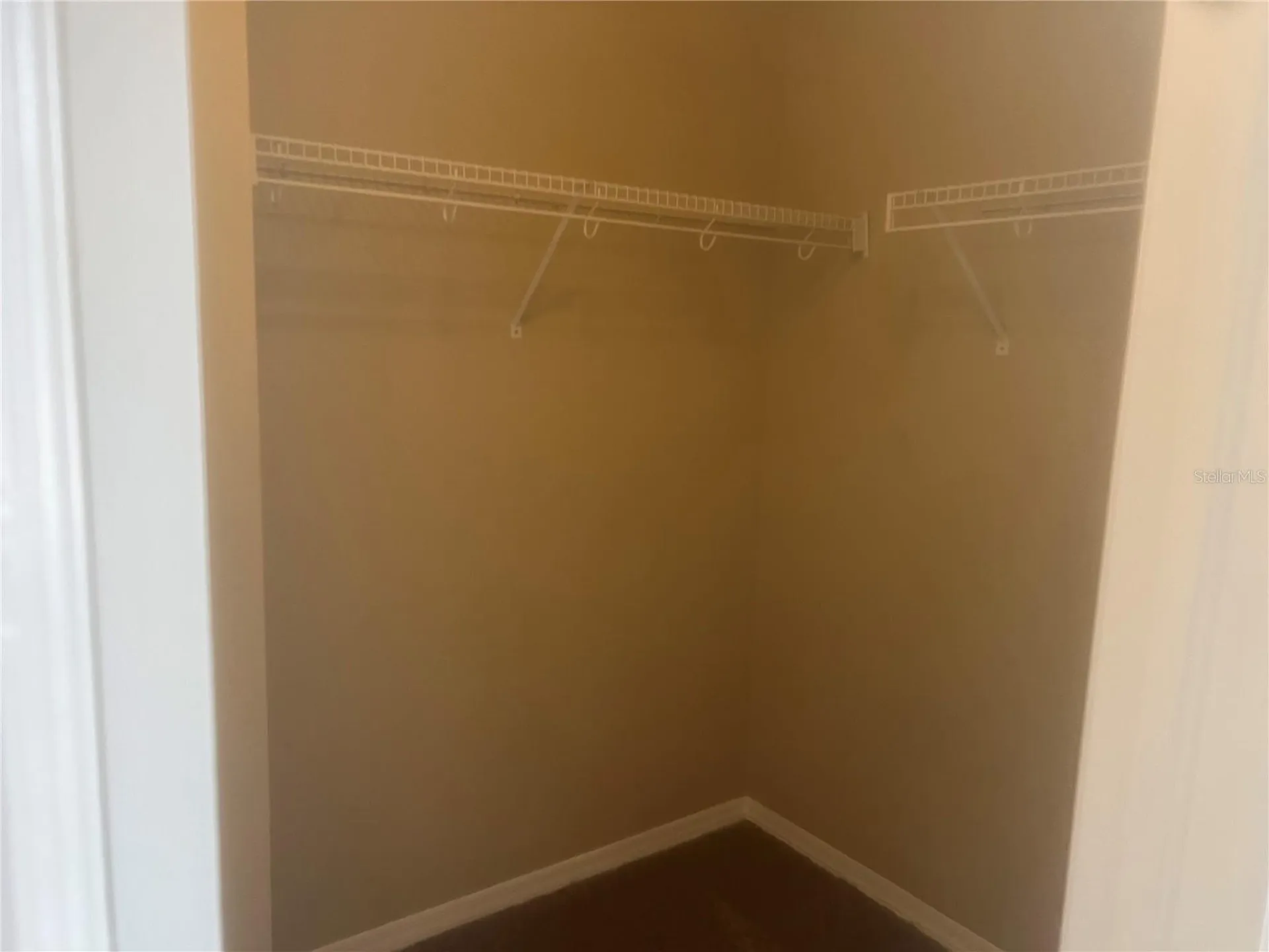 18914 Maisons Drive Lutz FL 33558