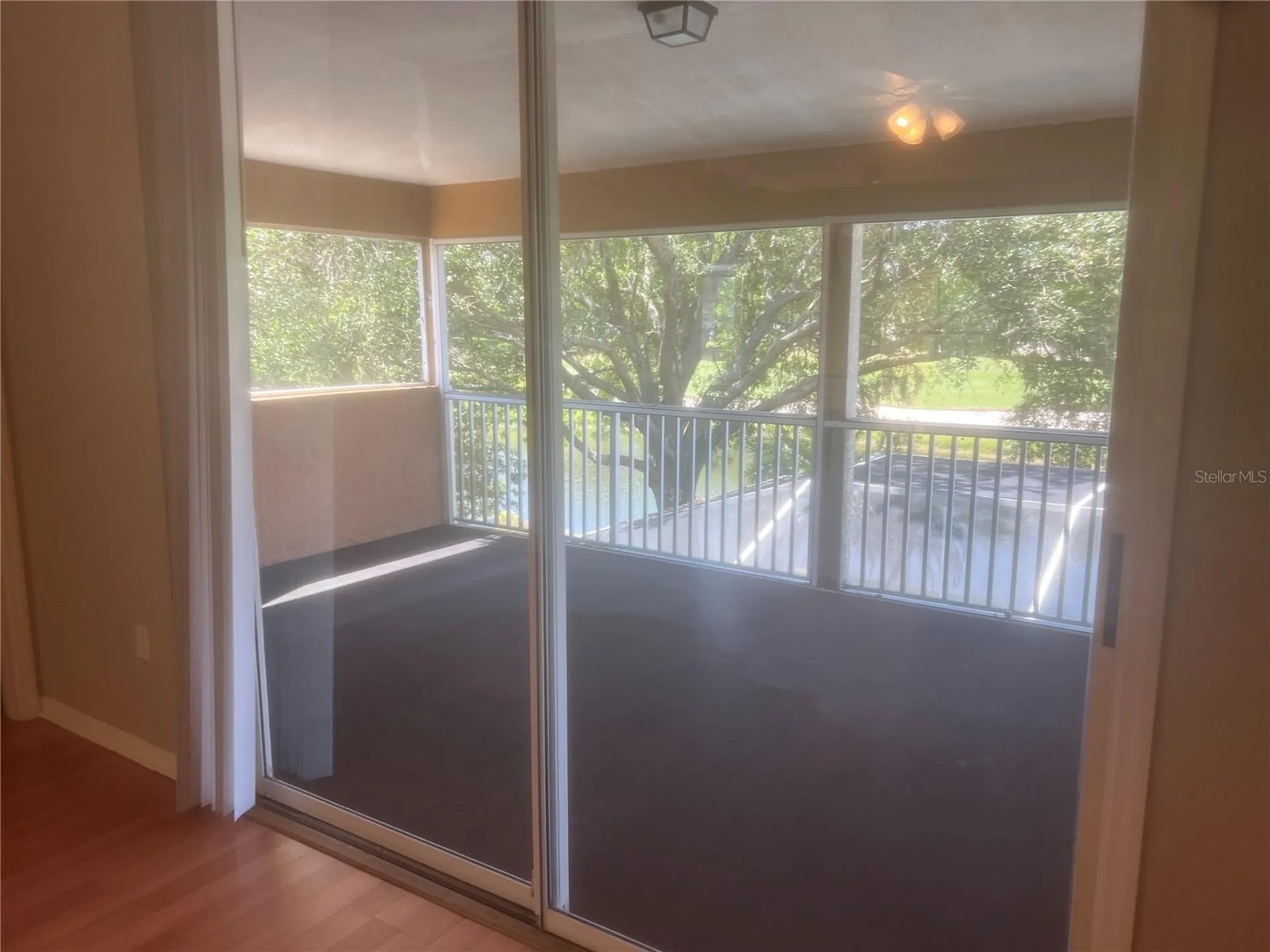 18914 Maisons Drive Lutz FL 33558