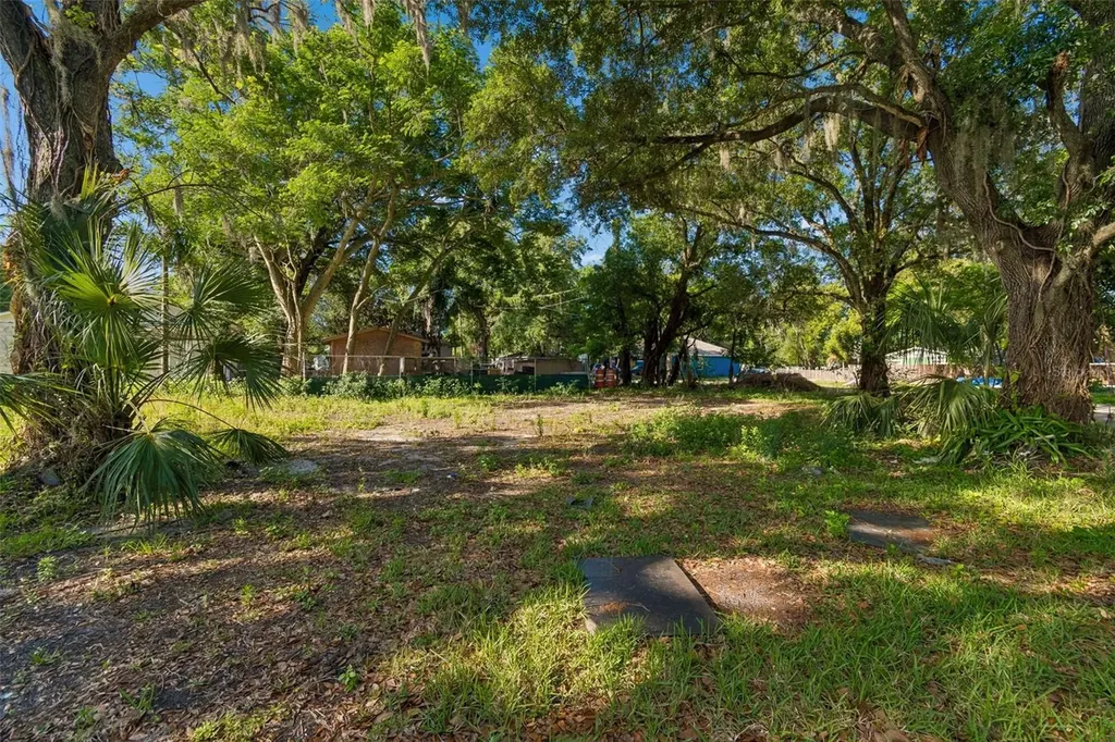 1401 Drane Street SE Plant City FL 33563