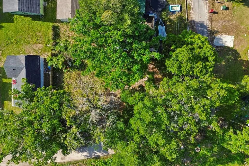 1401 Drane Street SE Plant City FL 33563