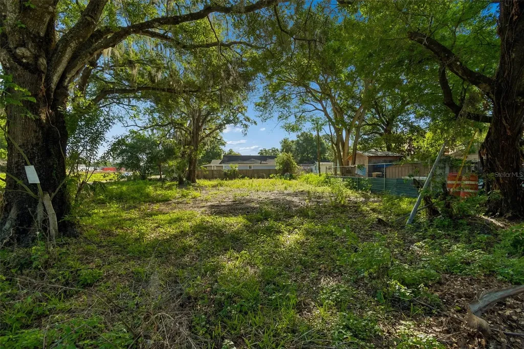 1401 Drane Street SE Plant City FL 33563