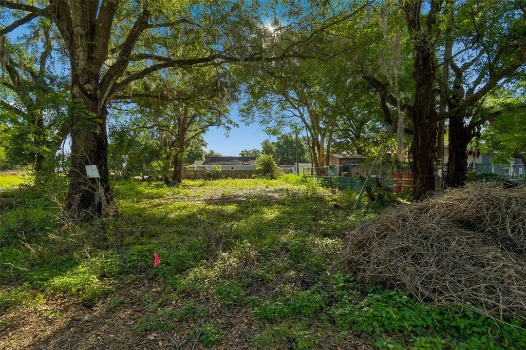1401 Drane Street SE Plant City FL 33563