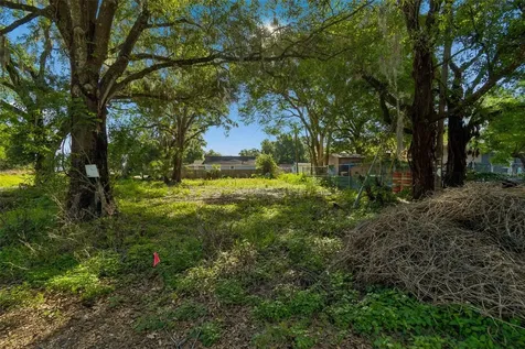 1401 Drane Street SE Plant City FL 33563