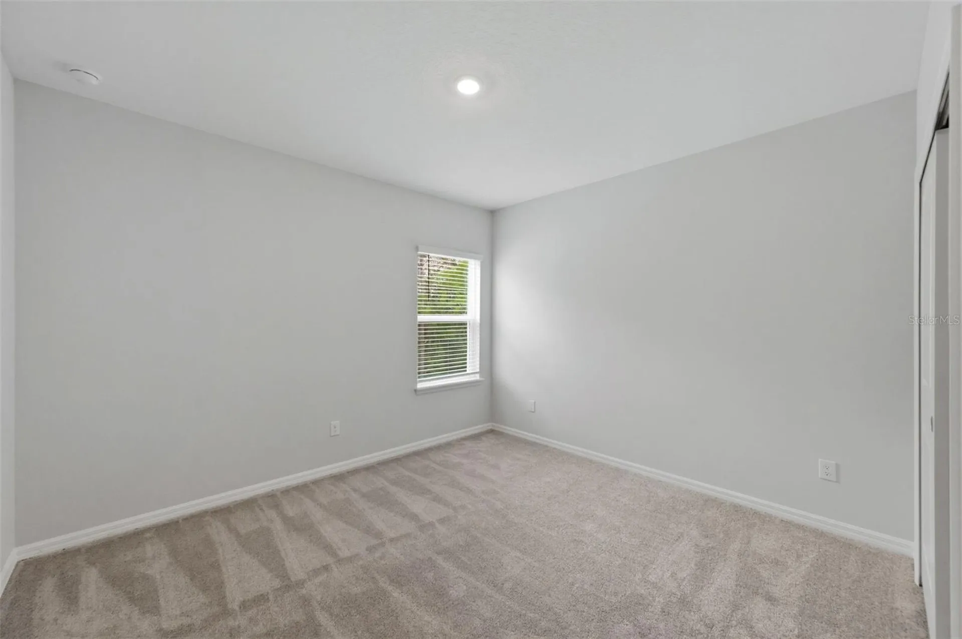 1645 Trailhead Lane Zephyrhills FL 33541