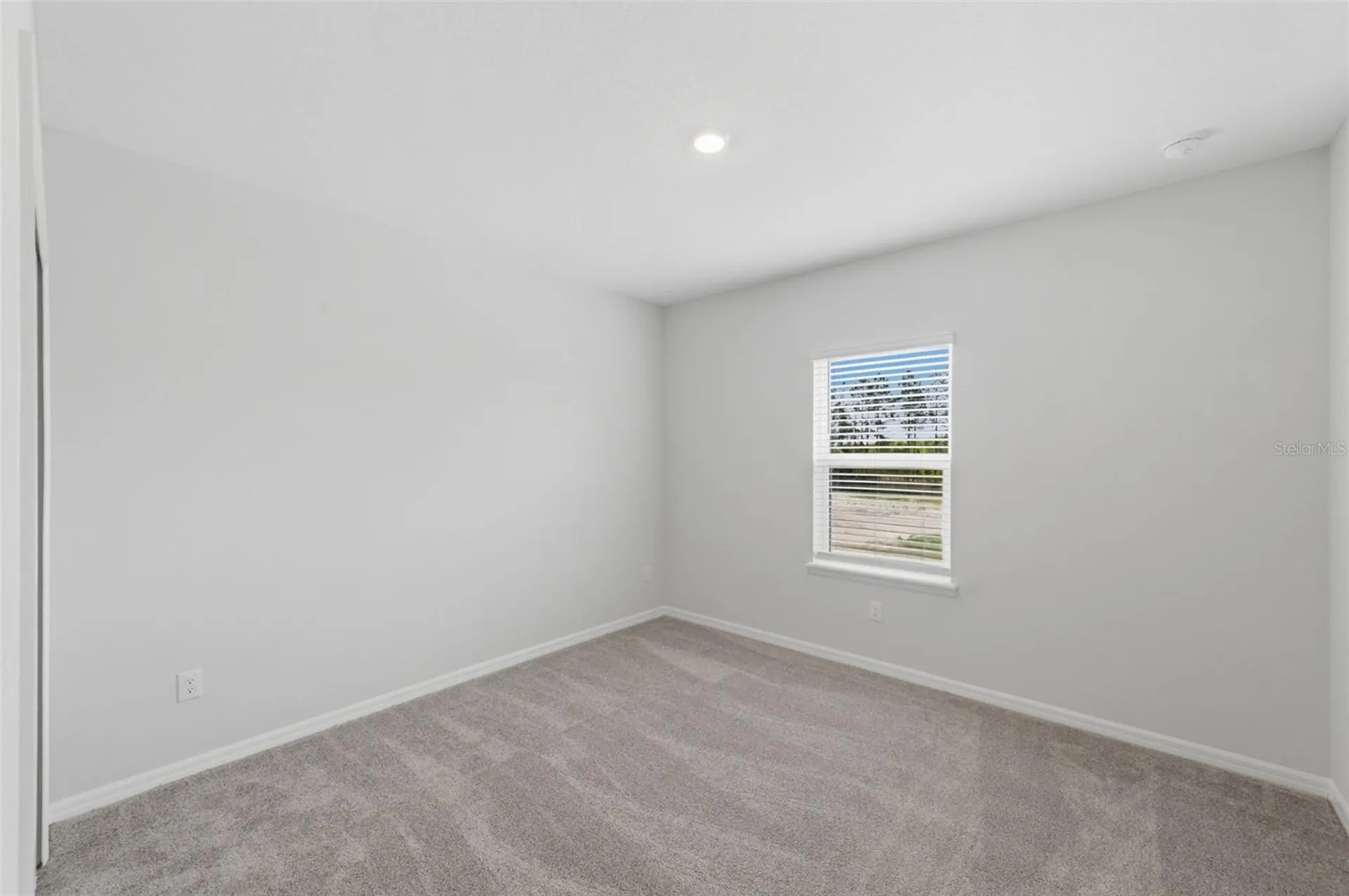 1645 Trailhead Lane Zephyrhills FL 33541