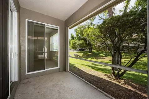 3304 Covered Bridge Drive E Dunedin FL 34698