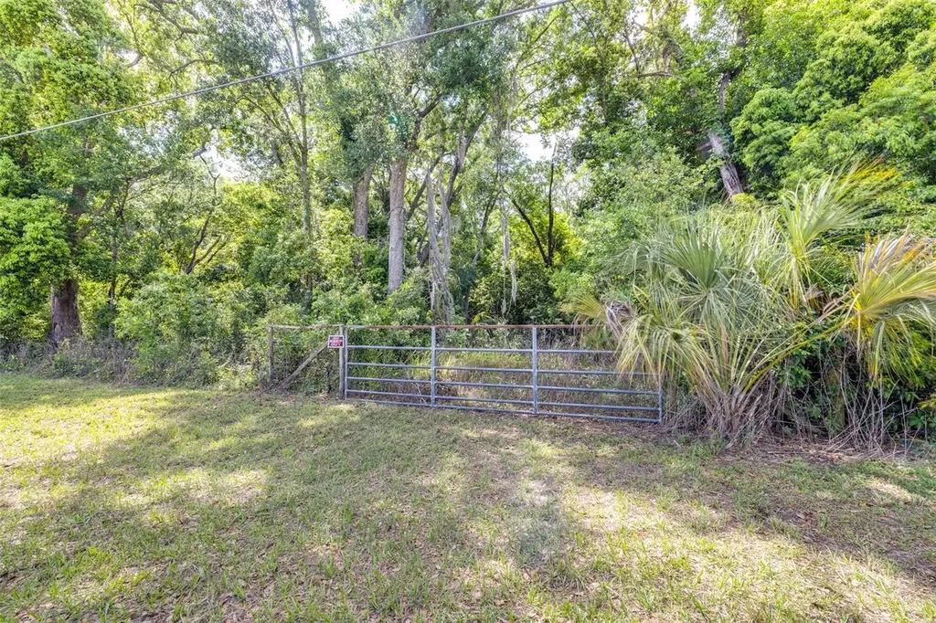 28616 Tupper Road Wesley Chapel FL 33545