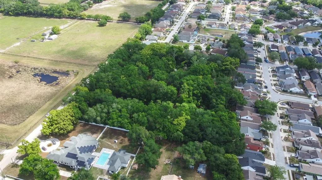 28616 Tupper Road Wesley Chapel FL 33545