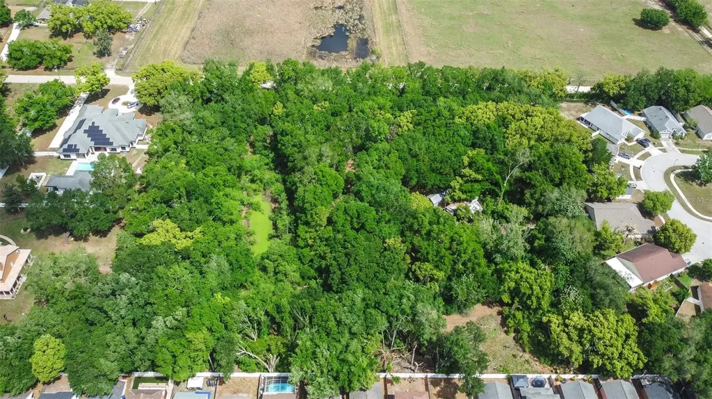 28616 Tupper Road Wesley Chapel FL 33545