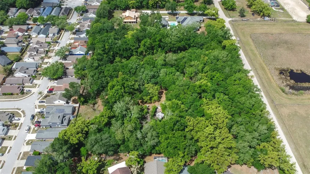 28616 Tupper Road Wesley Chapel FL 33545
