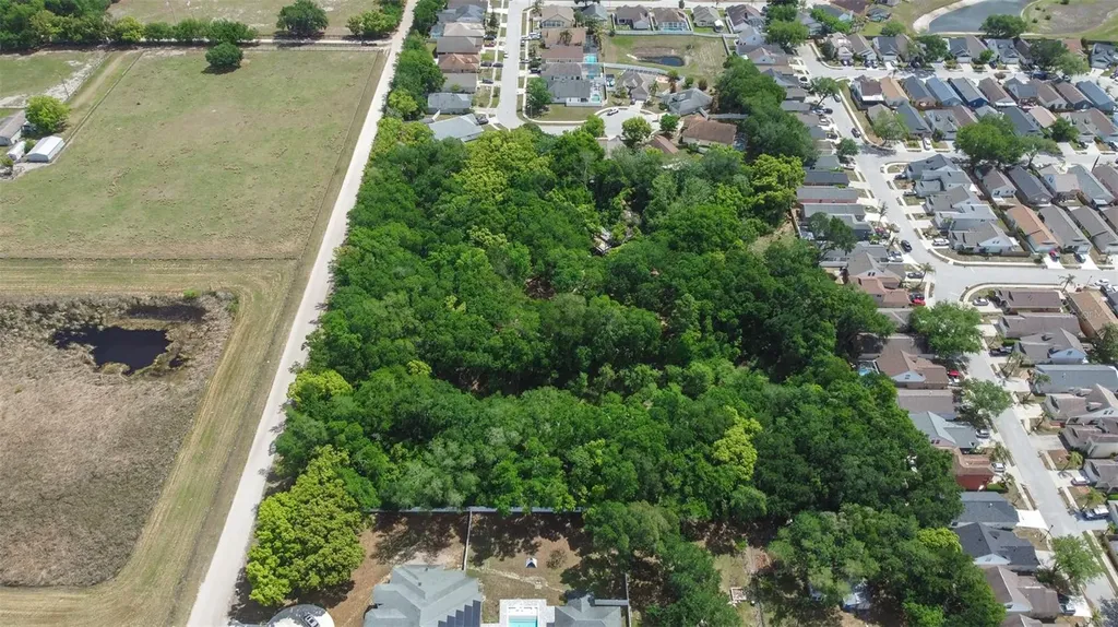 28616 Tupper Road Wesley Chapel FL 33545