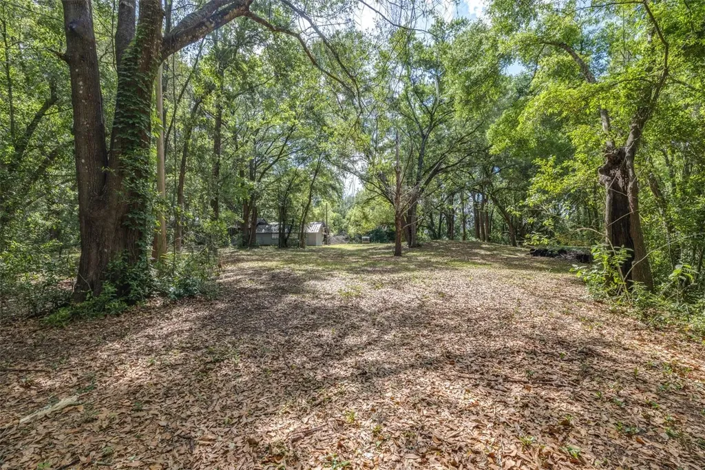 28616 Tupper Road Wesley Chapel FL 33545