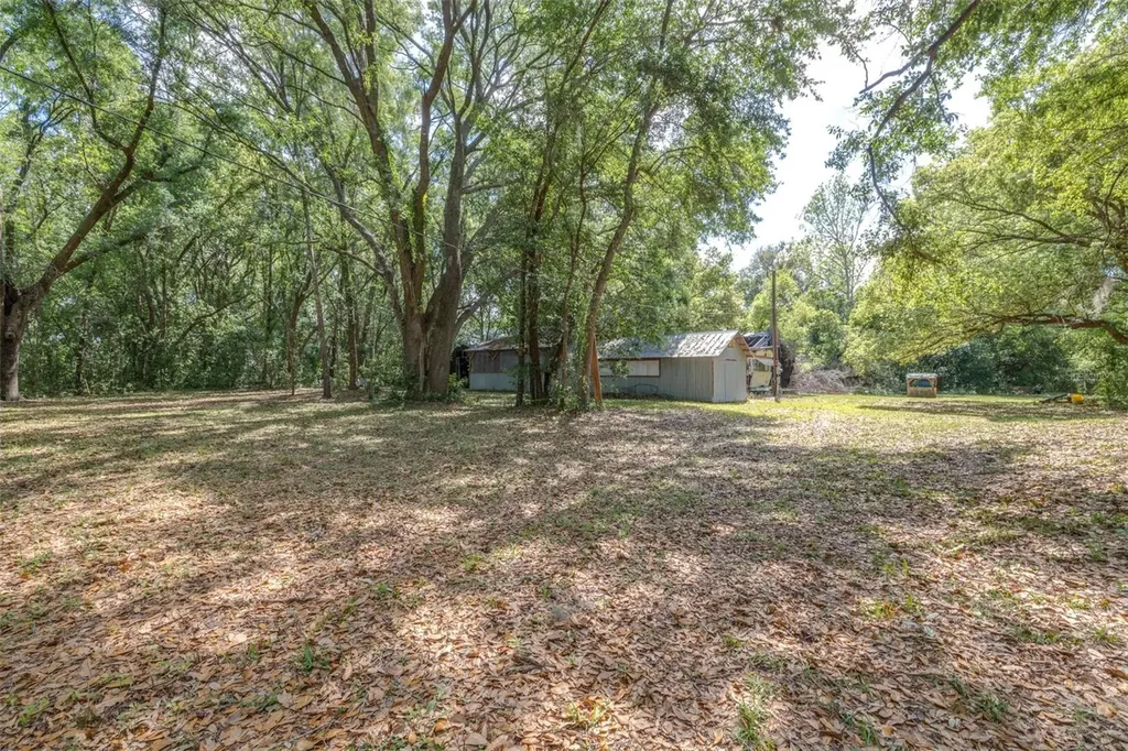28616 Tupper Road Wesley Chapel FL 33545
