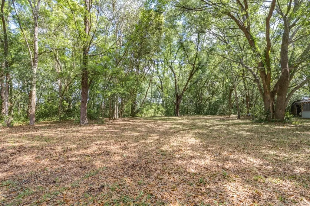 28616 Tupper Road Wesley Chapel FL 33545