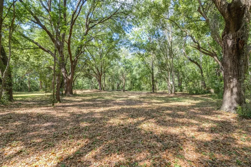28616 Tupper Road Wesley Chapel FL 33545