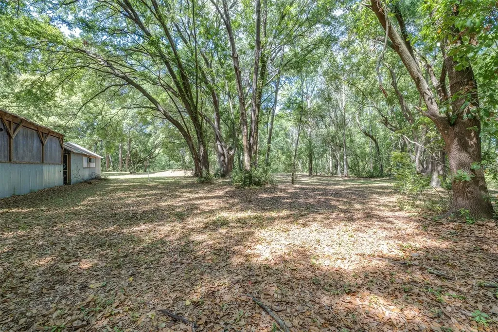 28616 Tupper Road Wesley Chapel FL 33545