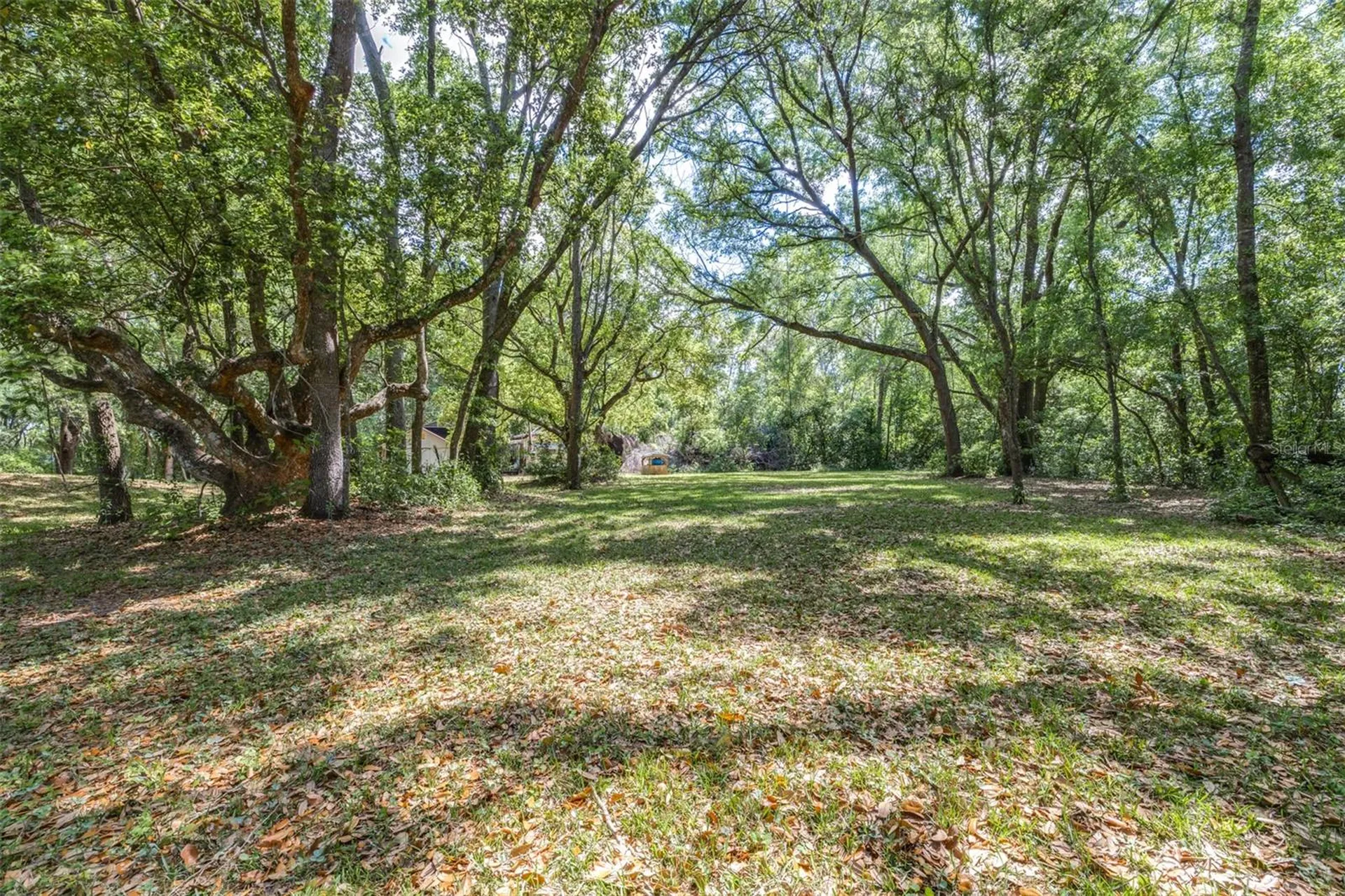28616 Tupper Road Wesley Chapel FL 33545