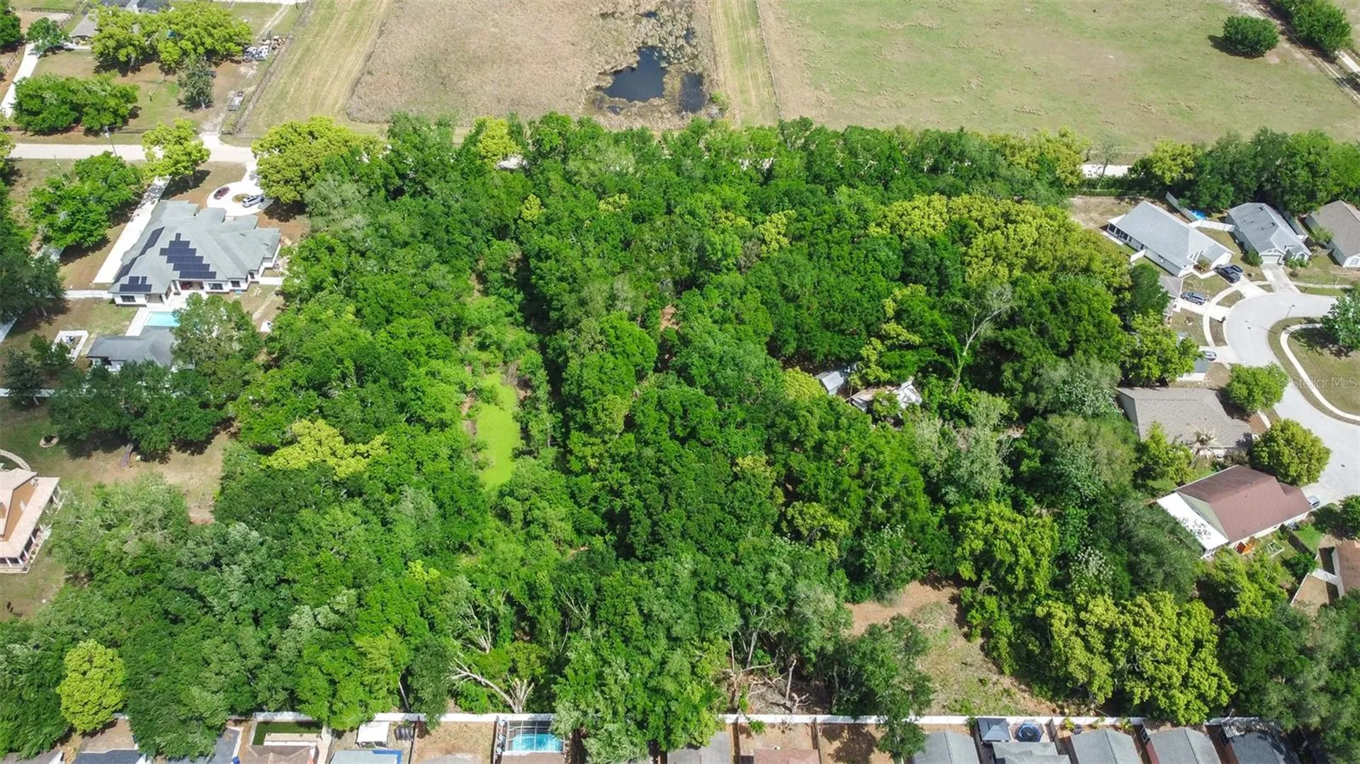28616 Tupper Road Wesley Chapel FL 33545