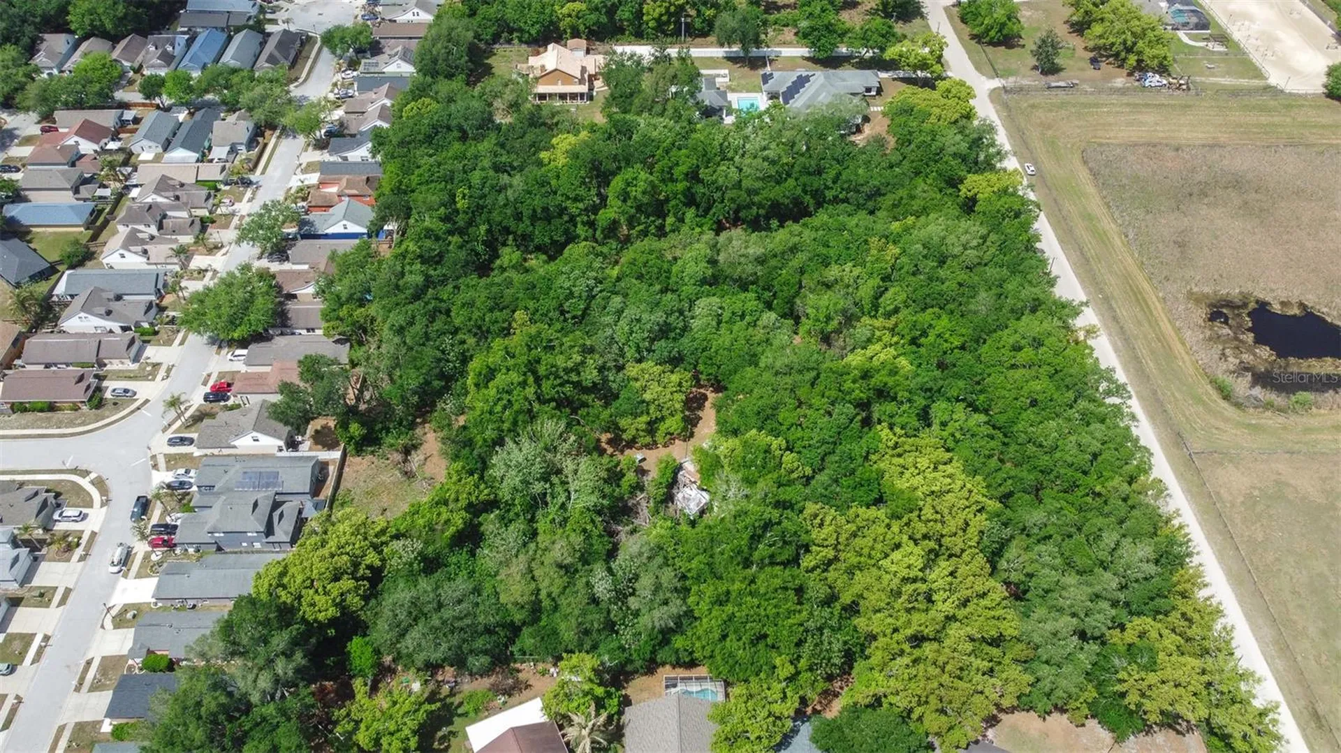 28616 Tupper Road Wesley Chapel FL 33545