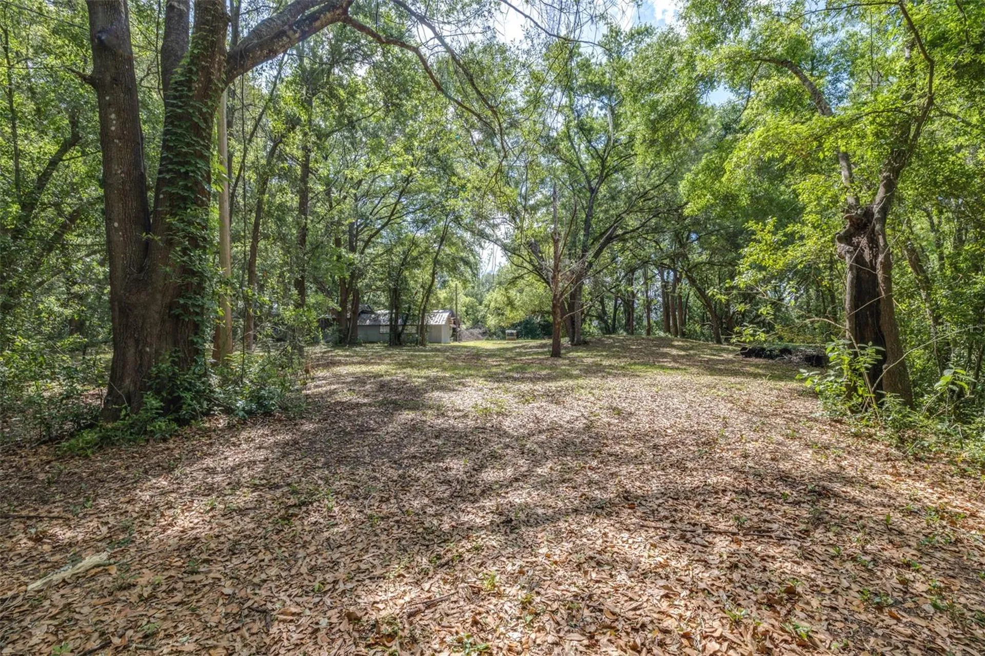 28616 Tupper Road Wesley Chapel FL 33545