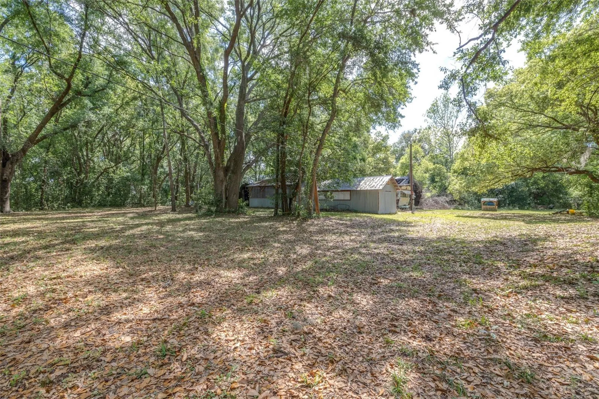 28616 Tupper Road Wesley Chapel FL 33545