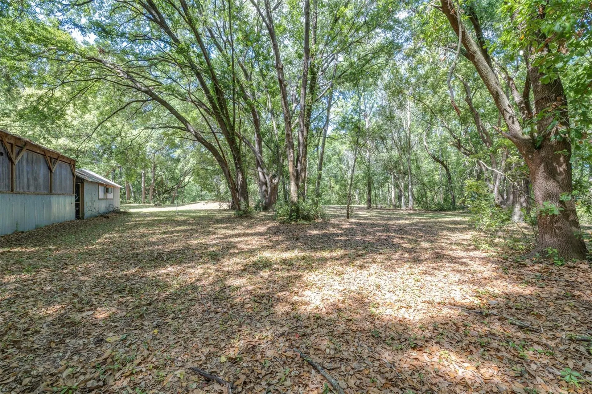 28616 Tupper Road Wesley Chapel FL 33545