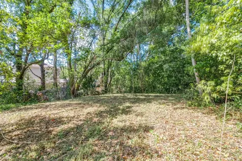 28616 Tupper Road Wesley Chapel FL 33545