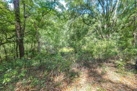28616 Tupper Road Wesley Chapel FL 33545