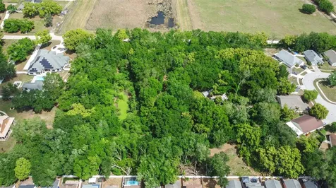 28616 Tupper Road Wesley Chapel FL 33545