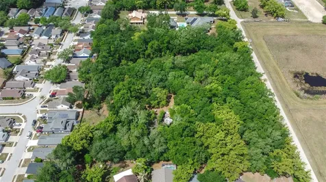 28616 Tupper Road Wesley Chapel FL 33545