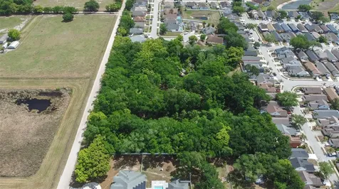 28616 Tupper Road Wesley Chapel FL 33545