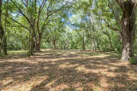 28616 Tupper Road Wesley Chapel FL 33545