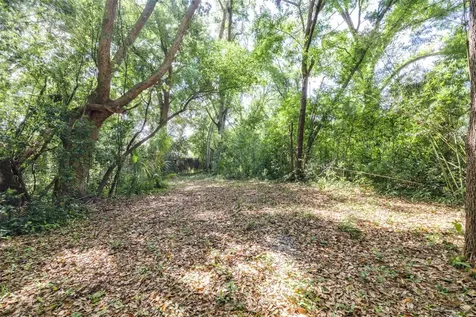 28616 Tupper Road Wesley Chapel FL 33545